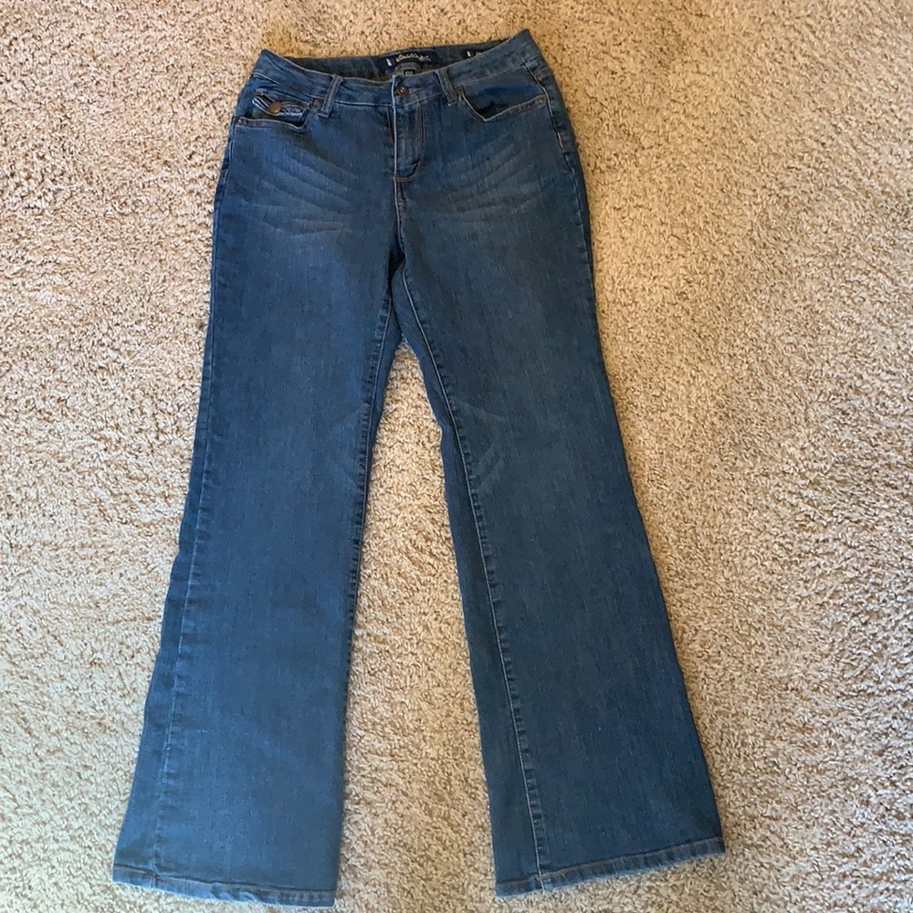 Salt Works New York City Mid Rise Jeans Sz. 10p View 2